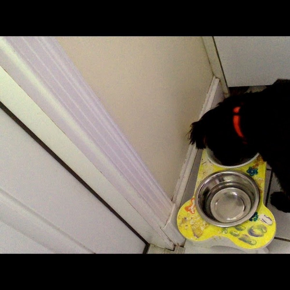 Meet your Posher, Catriona